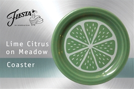 Lime Citrus Coasters on Meadow